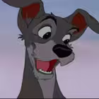 mvstories6421 Telegram Logo