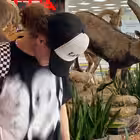 curlygotcha Telegram Logo