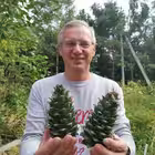 AlekseevDNS Telegram Logo