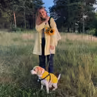 touchcatching Telegram Logo