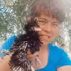 katya_v_dome2 Telegram Logo