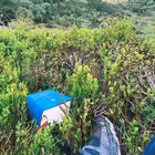 yanovych Telegram Logo