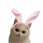 InnaBeeb Telegram Logo