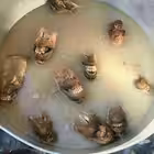 Telegram @hoolondooChannel Image