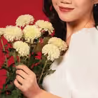 pictbulolz Telegram Logo