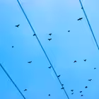 Telegram @shuum3eChannel Image