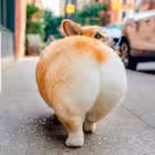 kratosplaygang Telegram Logo