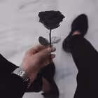 Hey_V1 Telegram Logo