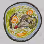 pacuchiicup Telegram Logo