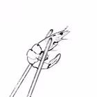 dnsvnlgarchive Telegram Logo