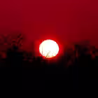 guidetokulchur Telegram Logo