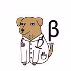 Telegram @dogtor_vulgarisChannel Image