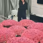 itsfarzonas Telegram Logo