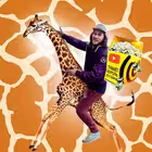 Telegram @King_of_DeliveryChannel Image