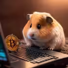 tradernocry Telegram Logo