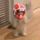 serejacampsb Telegram Logo