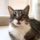 spalnyabybi Telegram Logo