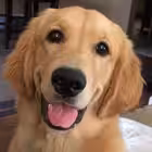 bananaghooul Telegram Logo