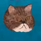 Telegram @pabloradiniChannel Image