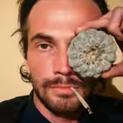 nstrshn Telegram Logo