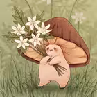 Telegram @elinasmushroomsChannel Image