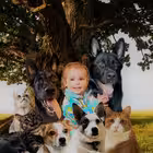 kovheg_pod_dubom Telegram Logo