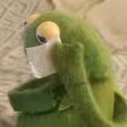 YudoPudo Telegram Logo