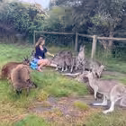 Telegram @allainausChannel Image