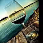 pro_Wines Telegram Logo