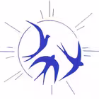 shingarkin Telegram Logo