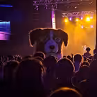 saraymentalky Telegram Logo