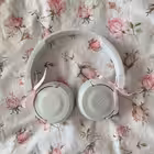 coqmeow Telegram Logo