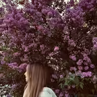 aaaavvvvsss Telegram Logo