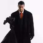 ferberstas Telegram Logo