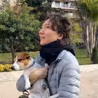 buuusinki Telegram Logo