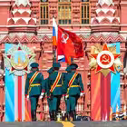 vestnikpvo Telegram Logo