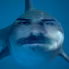 pozdnyakovslit Telegram Logo