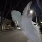 starkow Telegram Logo