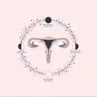 Telegram @DukturkhonimChannel Image