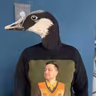 boritko Telegram Logo