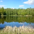 photodrive Telegram Logo