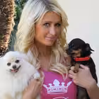 bolshakovva Telegram Logo