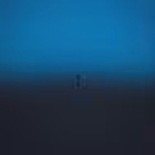 maccins Telegram Logo