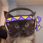 myrvito Telegram Logo