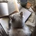 saritasfam Telegram Logo