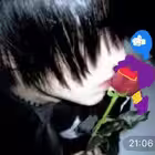 pngvnrata Telegram Logo