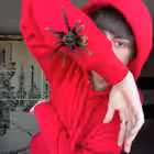 Palton4ic Telegram Logo