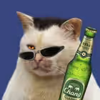 trhnmzz Telegram Logo