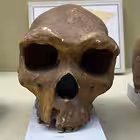 lostanklav Telegram Logo