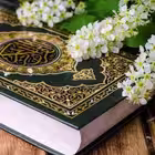 Rustamjon_Domla_maruza_rasmiyyy Telegram Logo